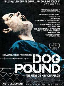 Dog Pound : une vie de chien