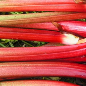 La rhubarbe : acidulée, savoureuse et bonne pour la santé