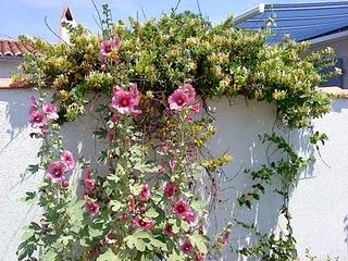 J'hallucine, mais pas toi... oui oui aujourd'hui c'est bien le 5ème message !