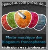 La Photo-Mosaïque des Blogueurs francophones