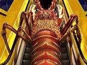 Rbsolutions mélange genres