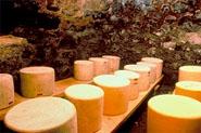 fromage-laitcru.jpg