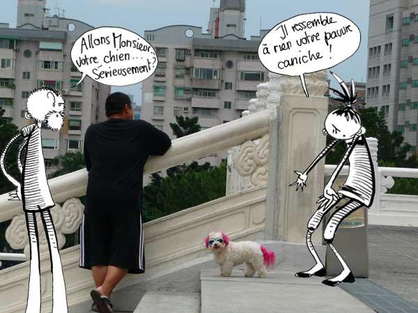 Les animaux à Taiwan…