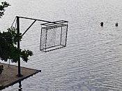 rêvent... l'ont fait