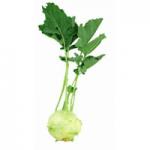 cima di rapa
