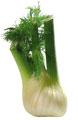 fenouil
