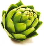 artichaut