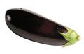 aubergine