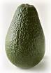 avocat