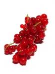 groseille