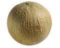 melon