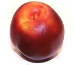 nectarine