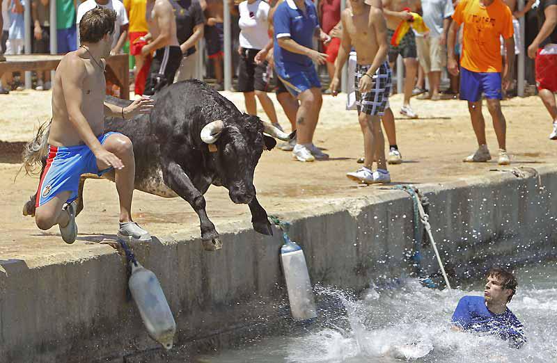 À mi-chemin entre Alicante et Valence, Dénia accueille chaque année «El Bous a la Mar», cette fête locale qui consiste en une course de taureaux à travers les rues de la ville depuis les arènes jusqu’au port. Il arrive souvent que les bêtes, mais aussi les coureurs, finissent par tomber à l’eau, comme ici, lundi 5 juillet. 