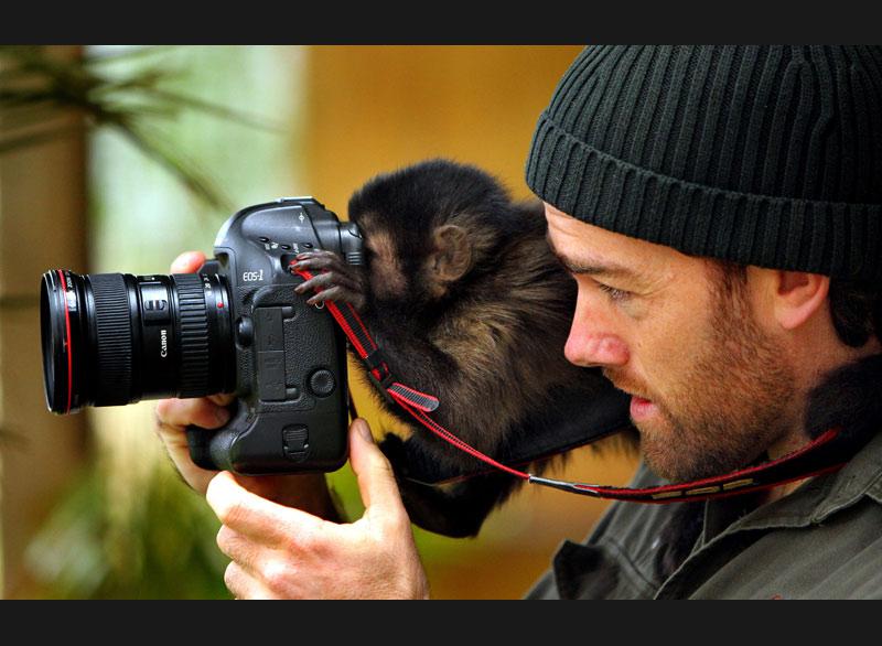 À Sydney (Australie), changement de rôle pour ce jeune singe qui emprunte, le temps d’un instant, l’appareil du photographe !