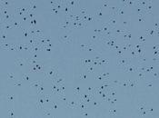 L’hirondelle (Guillevic)