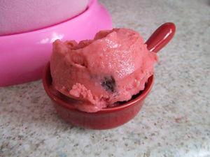 Glace duo de fraises DSCF7876