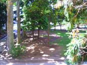 Parc l'Institut Lumière