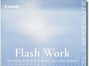 Flash Work, guide flashs permanents