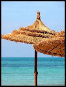 Ouverture de l’expo photo!