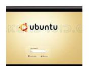 Ubuntu porté smartphone Android Nexus