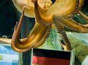 Paul, bras m'en tombent!