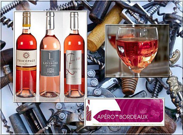 Dégustation en toute simplicité avec Apéro Bordeaux