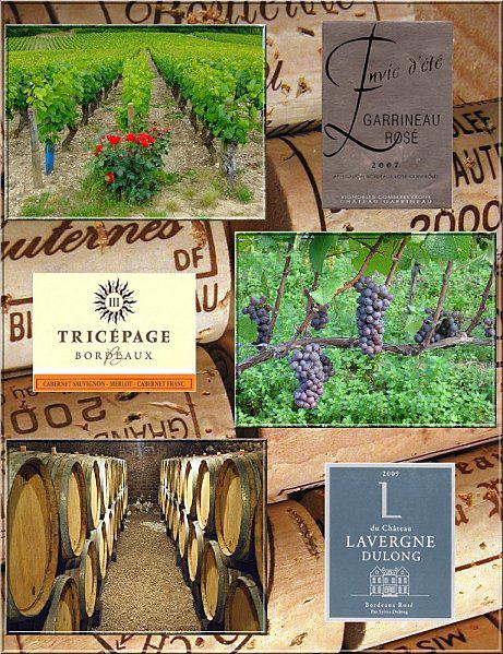 Dégustation en toute simplicité avec Apéro Bordeaux