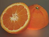 L’Orange (Oleg Grigoriev)