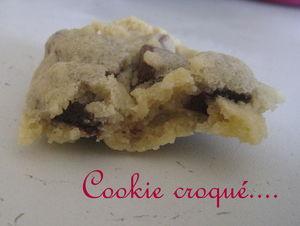 cookie_vu_de_l_int_rieur