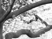 chiffres torturés RATP