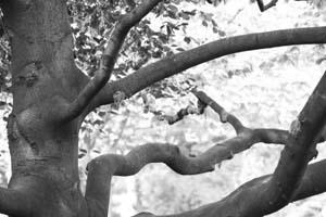 méandres des chiffres