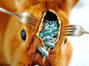 Antibiotiques dans l'élevage animal l'Agence sécurité sanitaire américaine tire sonnette d'alarme