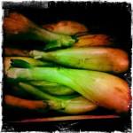 bleu 20 150x150 Chapitre 188: La Dame de Lectoure