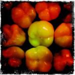 bleu 21 150x150 Chapitre 188: La Dame de Lectoure