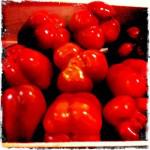 bleu 23 150x150 Chapitre 188: La Dame de Lectoure