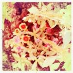 bleu 9 150x150 Chapitre 188: La Dame de Lectoure