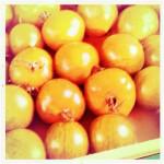 bleu 8 150x150 Chapitre 188: La Dame de Lectoure