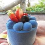 SDC15649b 150x150 Chapitre 188: La Dame de Lectoure