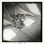 bleu 1 150x150 Chapitre 188: La Dame de Lectoure