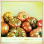 bleu 11 150x150 Chapitre 188: La Dame de Lectoure