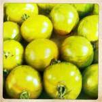 bleu 10 150x150 Chapitre 188: La Dame de Lectoure