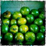 bleu 12 150x150 Chapitre 188: La Dame de Lectoure