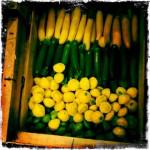 bleu 18 150x150 Chapitre 188: La Dame de Lectoure