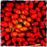 bleu 19 150x150 Chapitre 188: La Dame de Lectoure