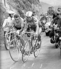 anquetil__poulidor-1964-puy-de-dome-un-des-duels-les-plus-epiques-de-lhistoire-du-tour.1278610041.jpg