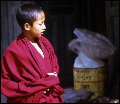tibet-gamin-moine.1276852097.jpg