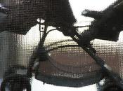 poésie toute proche