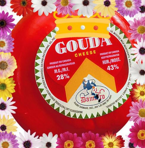 gouda2.jpg