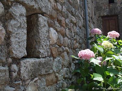 De vieilles pierres et des fleurs