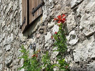 De vieilles pierres et des fleurs